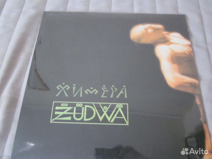 Пластинки групп Химера и птвп