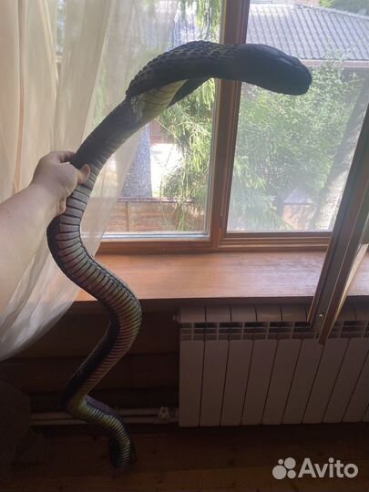 Игрушечная змея