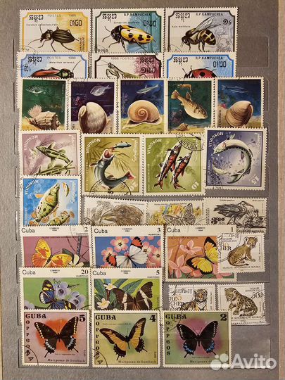 Флора и фауна 2