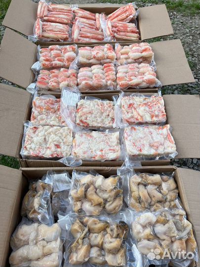 Фаланга краба Стригуна