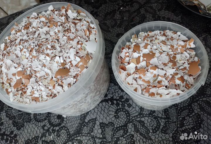 Скорлупа от яиц