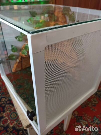 Террариум для эублефара