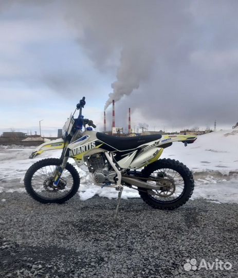 Avantis FX 250