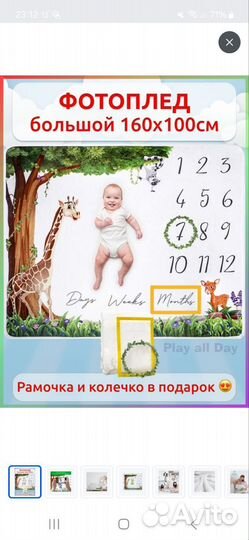 Фотоплед большой 160100