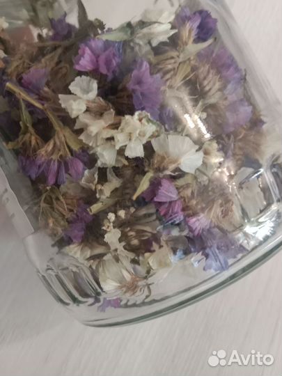 Сухоцветы для поделок