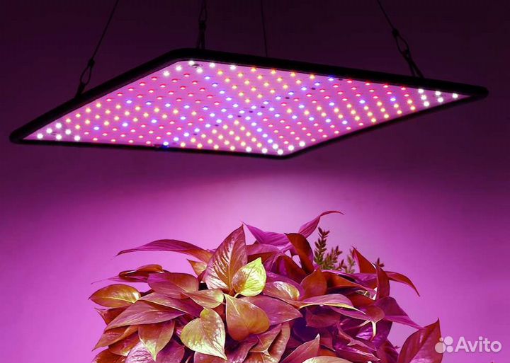 Фитолампа для растений