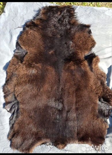 Шкуры овчины