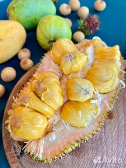 Семена Экзотических растений