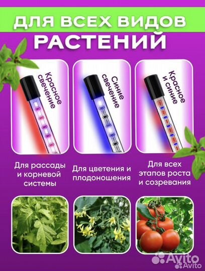 Фито лампа для растений