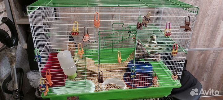 Клетка для грызунов 57*45 большая с хомяком