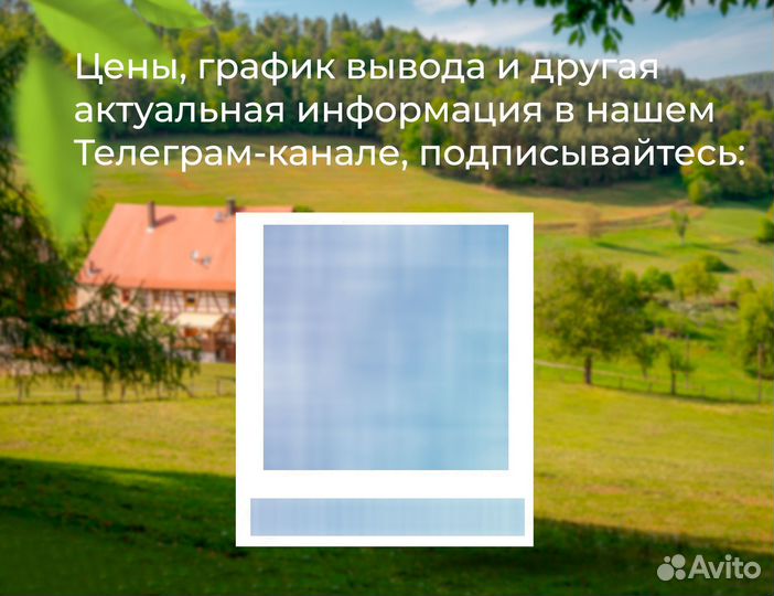 Индюшата Хайбрид конвертер суточные