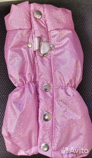 Новая одежда для собак мелких пород Glamcat