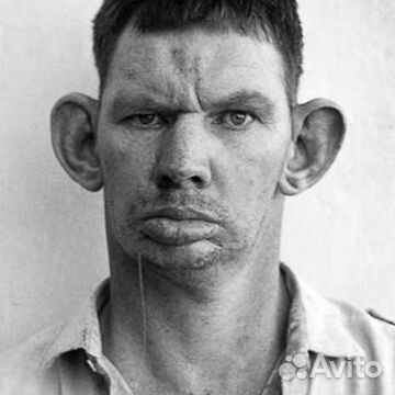 Насру под дверь