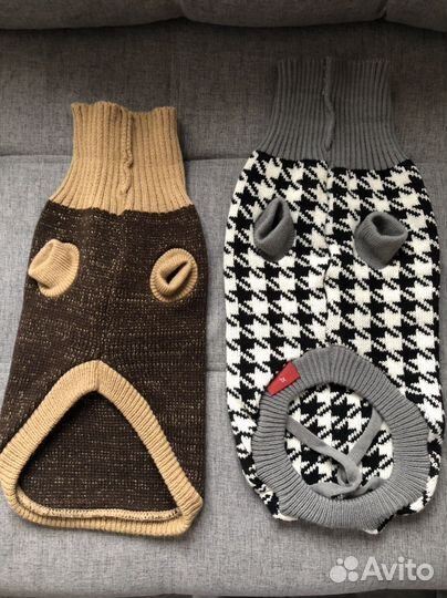 Одежда для таксы