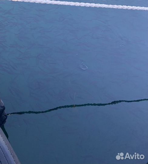 Продам сайду