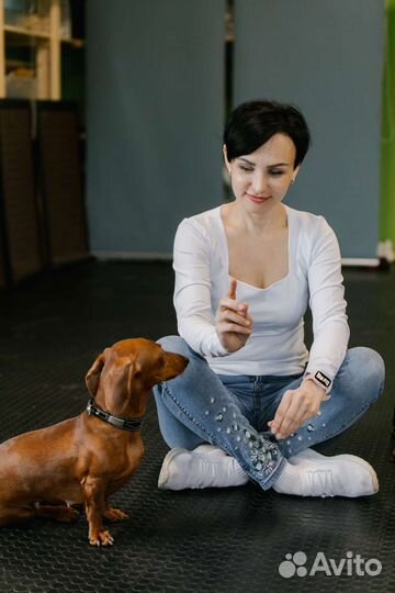 Услуги кинолога дрессировка хендлинг