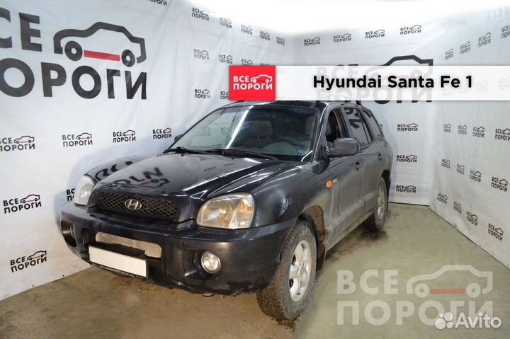 Hyundai Santa Fe I арки