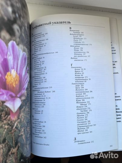 Книга Кунте Либор Кактусы