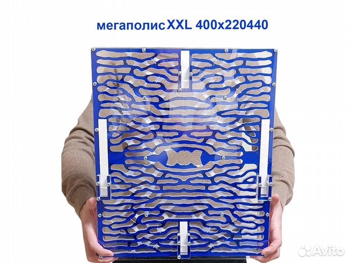 Муравьиная ферма Мегаполис хайтек