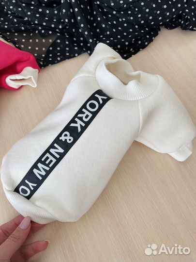 Худи для собак