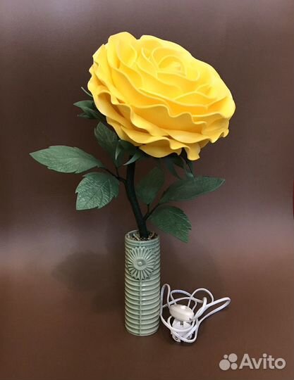 Роза-ночник