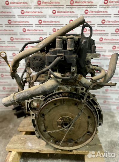 Двигатель контрактный shda Ford 1.6