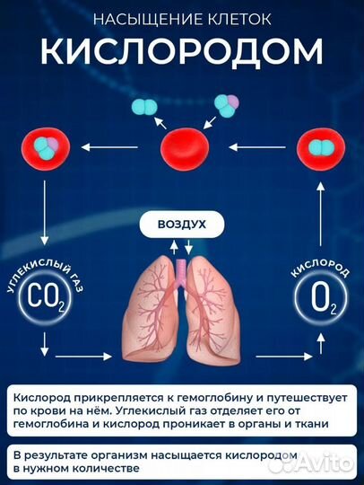 Дыхательный тренажёр Самоздрав