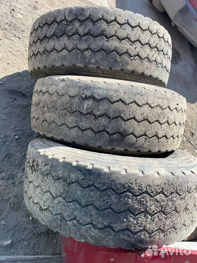Грузовые шины 385 65 22 5
