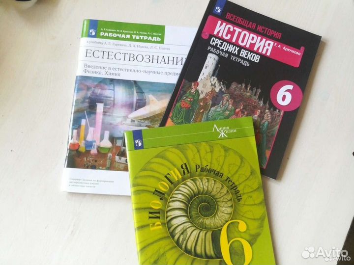 Рабочие тетради 6 класс