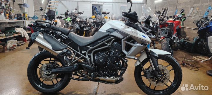Triumph tiger 800 xrx без пробега по РФ