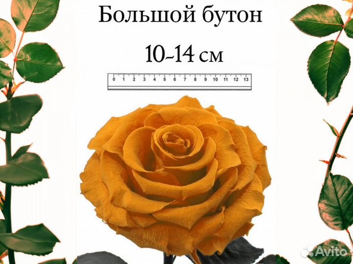 Роза в колбе Deluxe Оранжевая