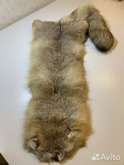 Шкурка корсака