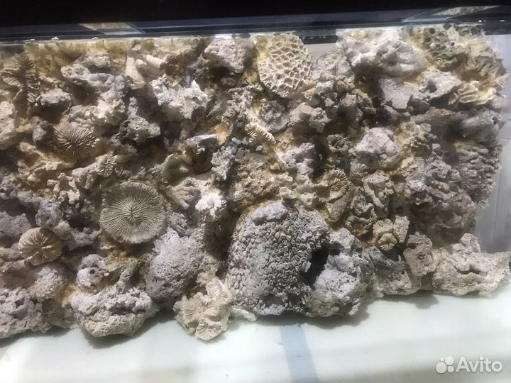 Аквариум, ремонт