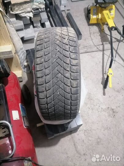 Delinte Winter WD6 215/50 R17 95H