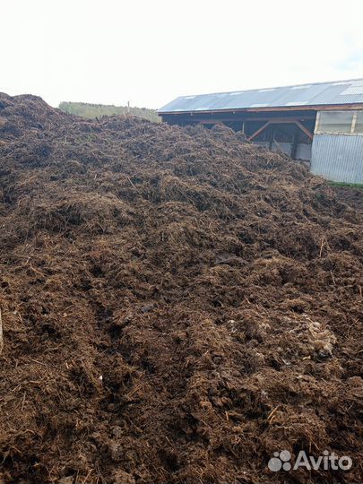 Навоз коровий