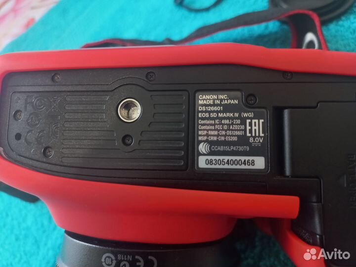 Canon EOS 5D Mark IV + Canon EF 50mm f/1.2L USM