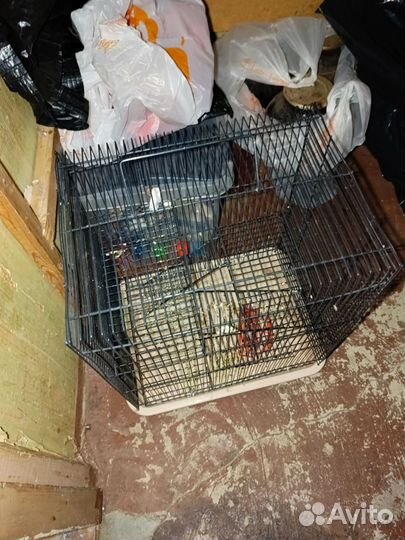 Переноска и клетки