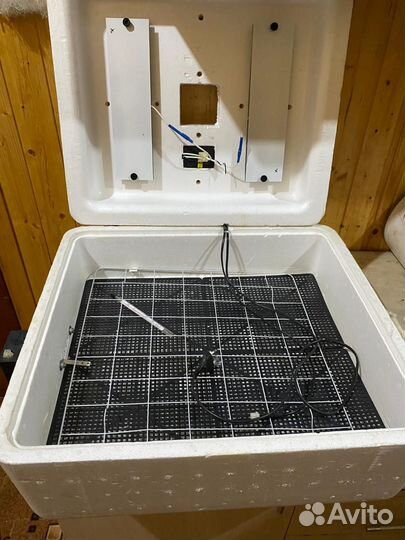 Инкубатор для яиц бытовой. Несушка