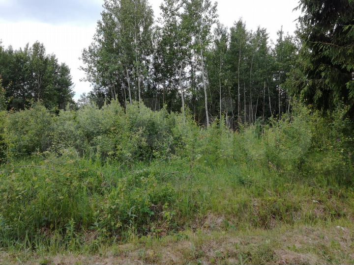 Участок 9 сот. (СНТ, ДНП)