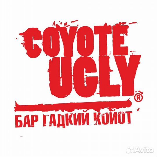 Официант - бармен