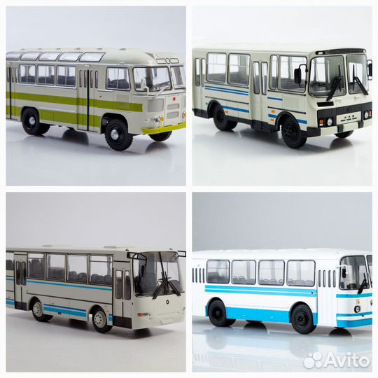 Автобусы Модимио