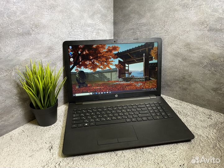 Шустрый ноутбук HP