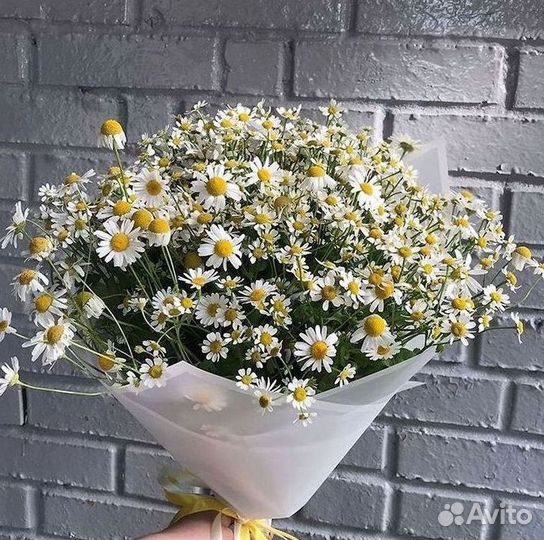 Ромашки букет