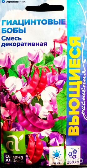 Гиацинтовые бобы вьющиеся