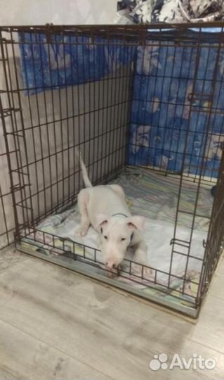 Клетки с оцинкованным поддоном разных размеров