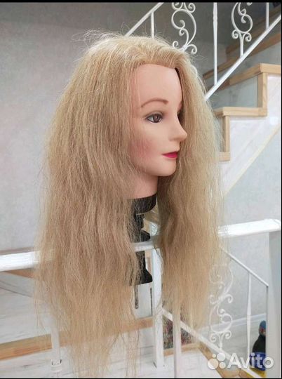 Учебная голова манекен