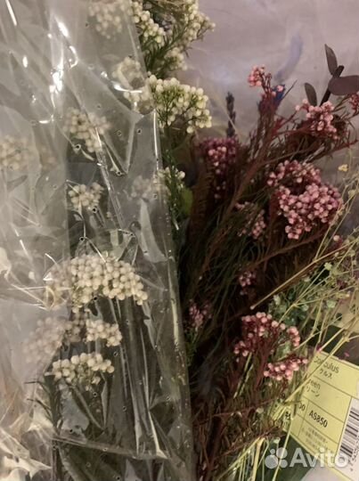 Стабилизированные цветы