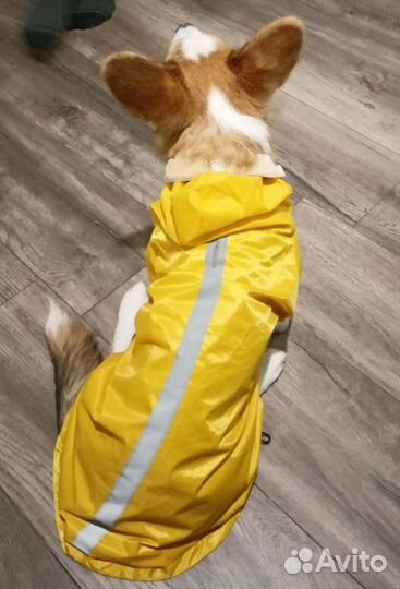 Дождевик для собак средних пород