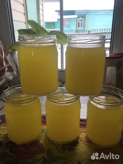 Гуси линда семьями