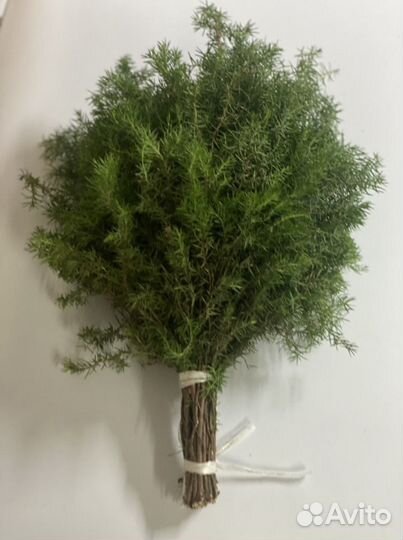 Веники для бани : пихта береза можжевельник дуб